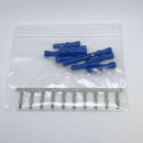 TD-986-XX MedSafe Colored Plugs for EEG Machines (pack of 10)